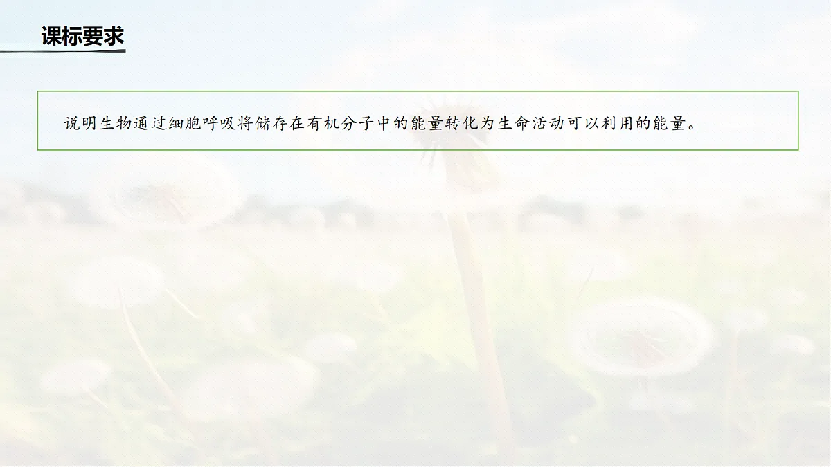 第三单元　第11课时　细胞呼吸的原理和应用第2页