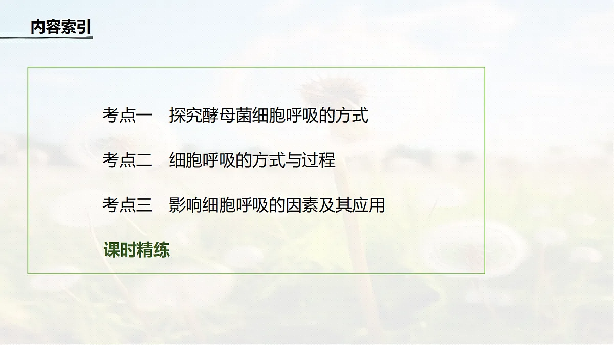第三单元　第11课时　细胞呼吸的原理和应用第4页