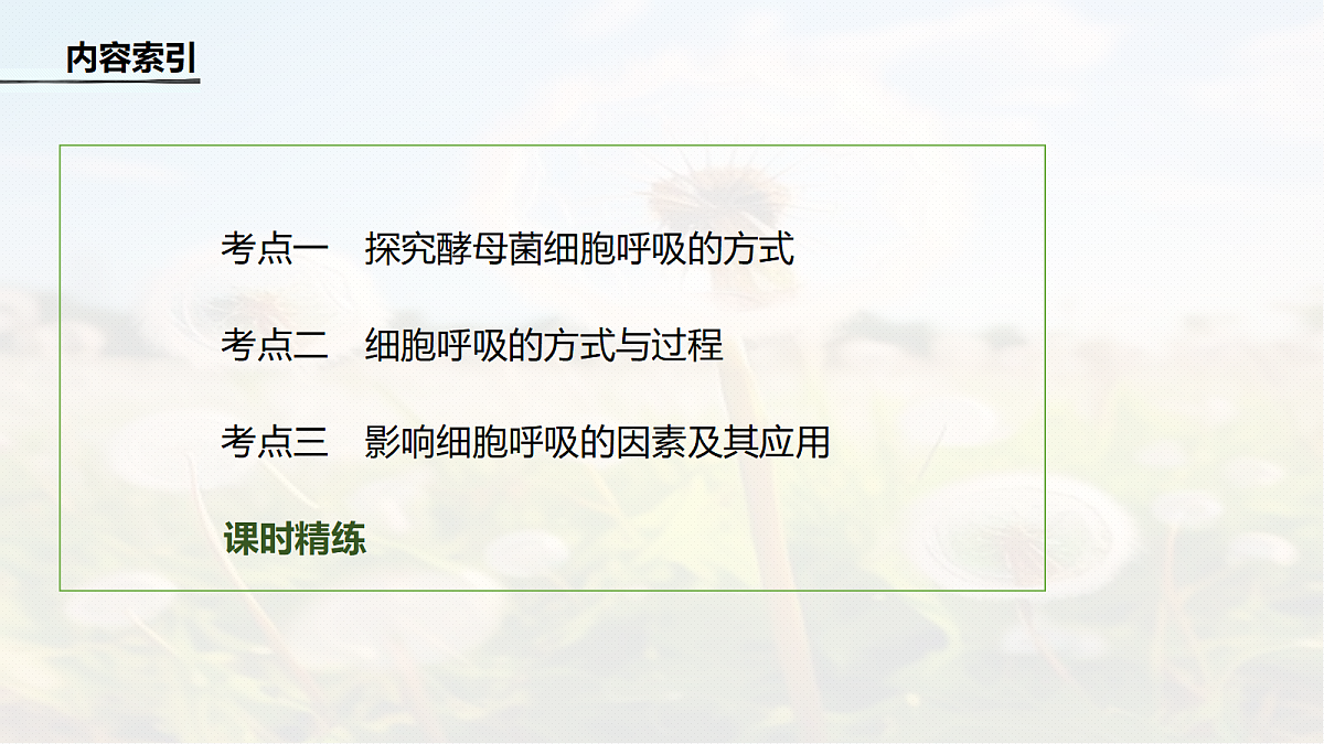 第三单元　第11课时　细胞呼吸的原理和应用第4页