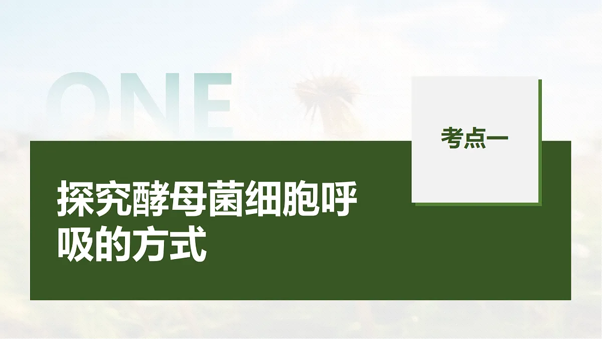 第三单元　第11课时　细胞呼吸的原理和应用第5页