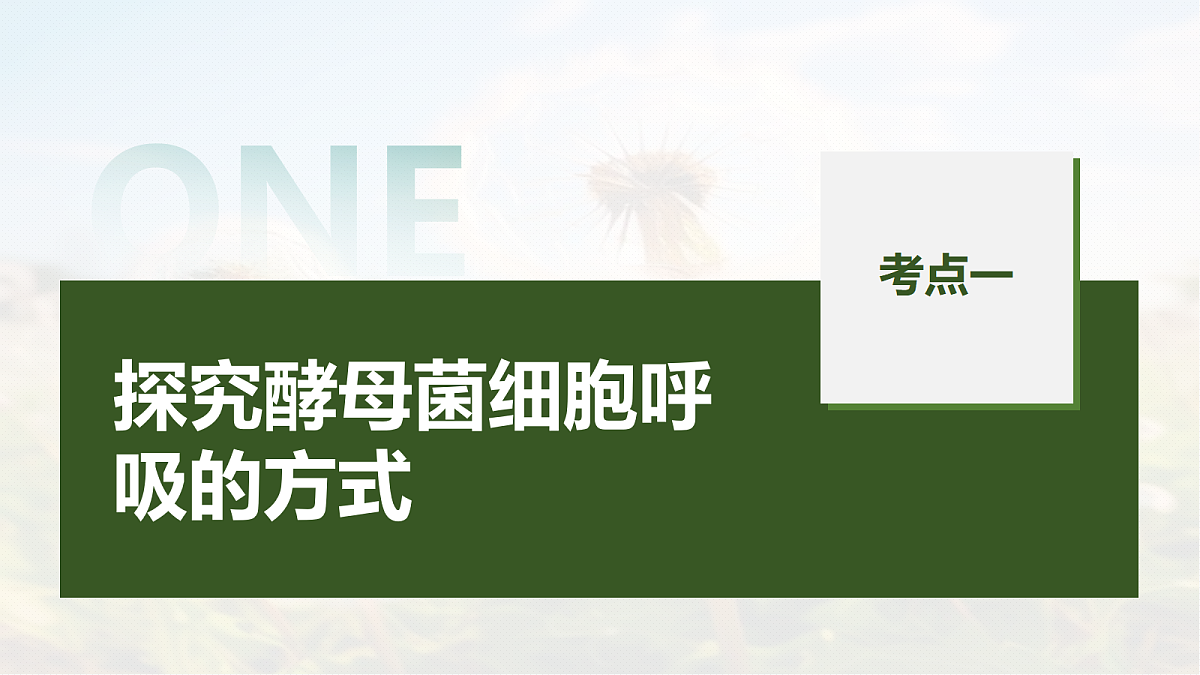 第三单元　第11课时　细胞呼吸的原理和应用第5页