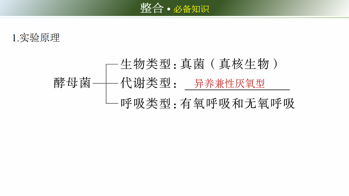 第三单元　第11课时　细胞呼吸的原理和应用第6页