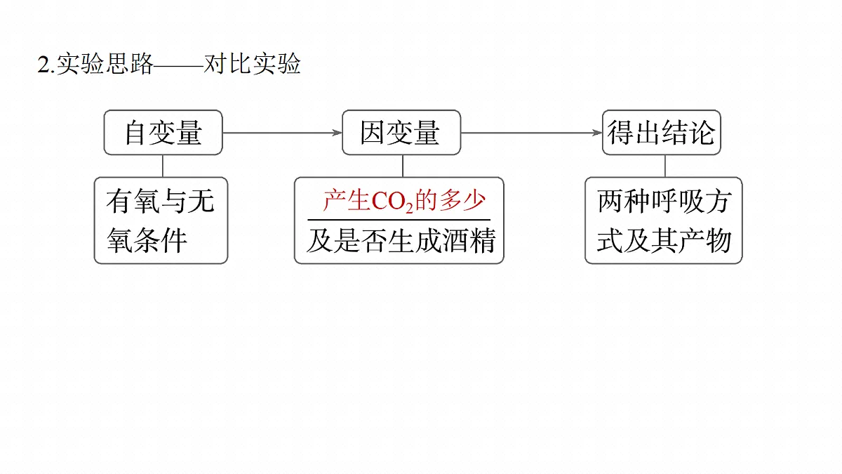 第三单元　第11课时　细胞呼吸的原理和应用第7页