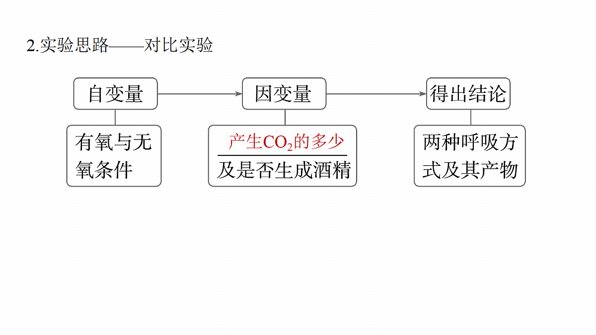 第三单元　第11课时　细胞呼吸的原理和应用第7页