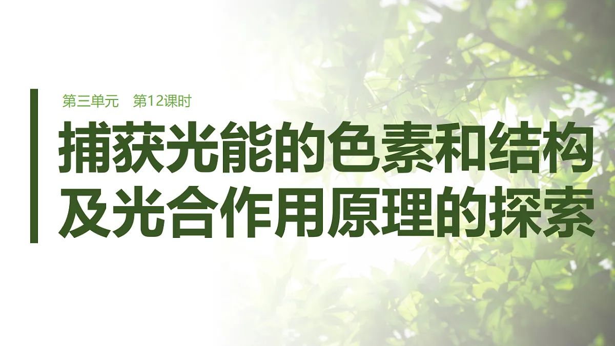 第三单元　第12课时　捕获光能的色素和结构及光合作用原理的探索第1页