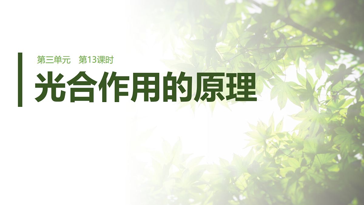第三单元　第13课时　光合作用的原理第1页