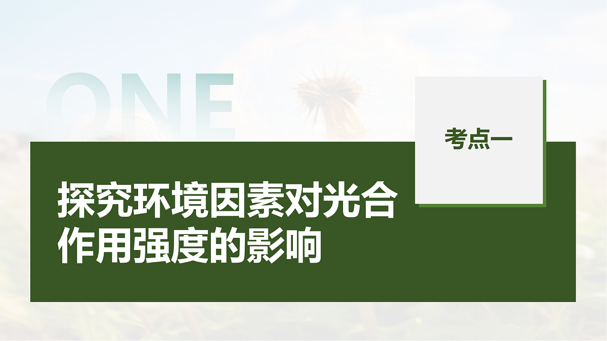 第三单元　第14课时　光合作用的影响因素及其应用第5页