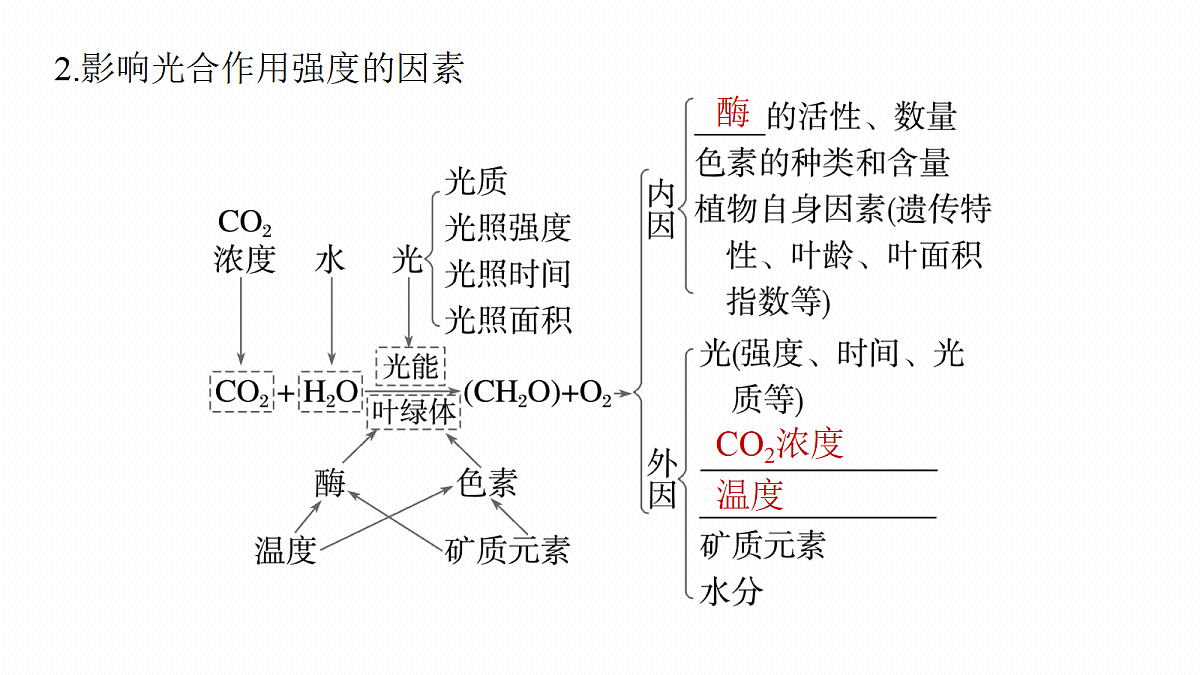 第三单元　第14课时　光合作用的影响因素及其应用第7页
