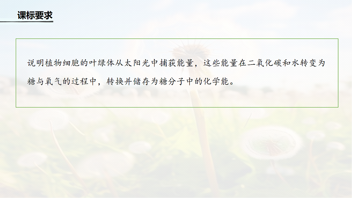第三单元　第15课时　光合作用和细胞呼吸的综合分析第2页
