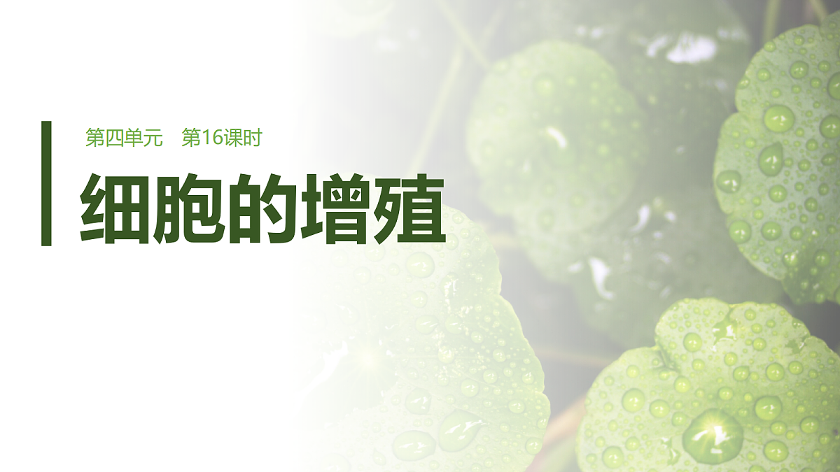 第四单元　第16课时　细胞的增殖第1页