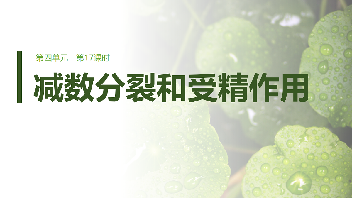 第四单元　第17课时　减数分裂和受精作用第1页