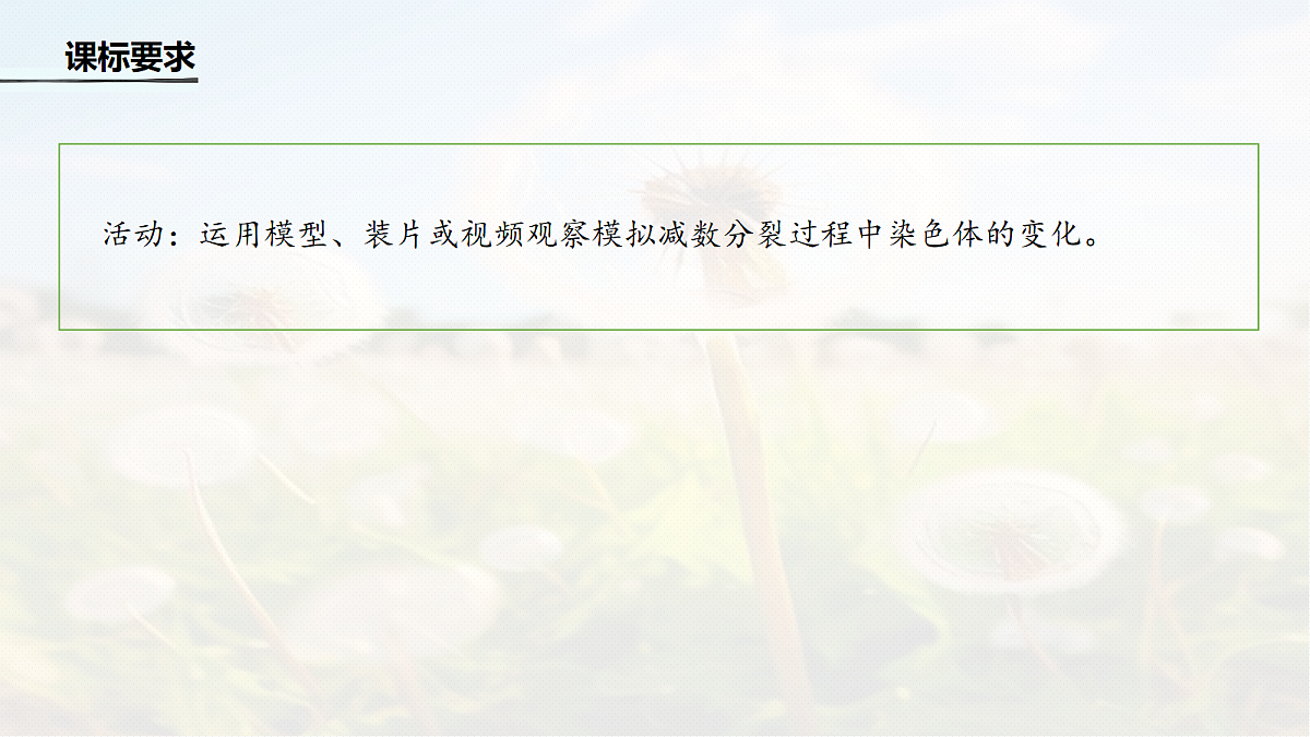 第四单元　第18课时　减数分裂与有丝分裂的比较及观察蝗虫精母细胞减数分裂装片第2页