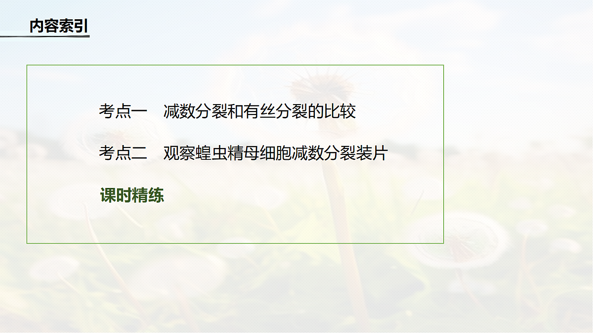 第四单元　第18课时　减数分裂与有丝分裂的比较及观察蝗虫精母细胞减数分裂装片第4页