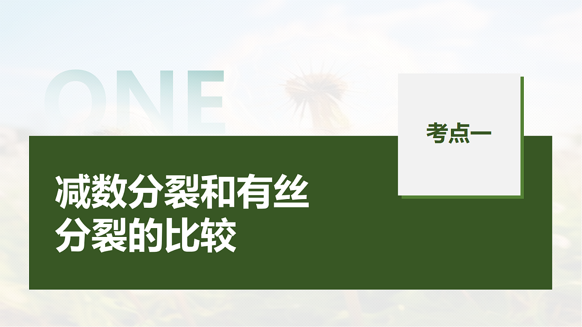 第四单元　第18课时　减数分裂与有丝分裂的比较及观察蝗虫精母细胞减数分裂装片第5页