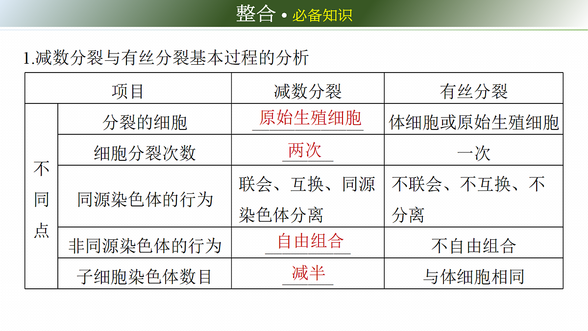 第四单元　第18课时　减数分裂与有丝分裂的比较及观察蝗虫精母细胞减数分裂装片第6页