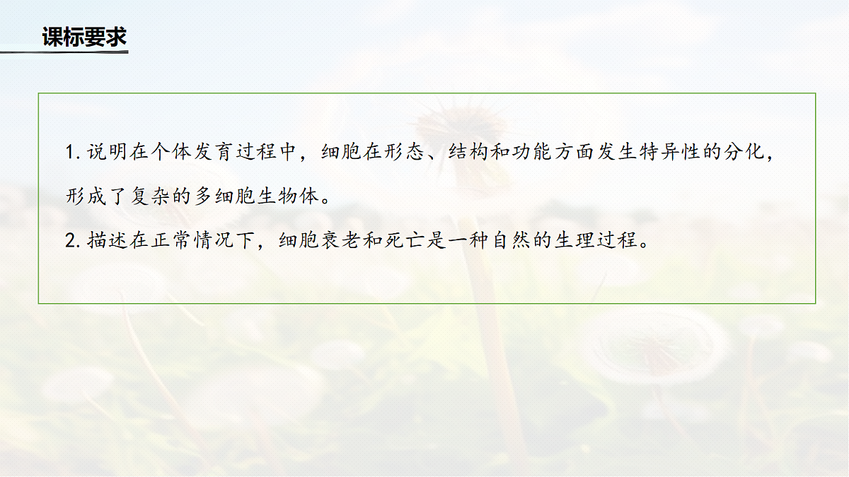 第四单元　第19课时　细胞的分化、衰老和死亡第2页