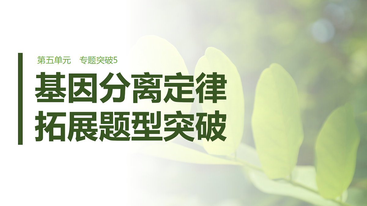 第五单元　专题突破5　基因分离定律拓展题型突破第1页