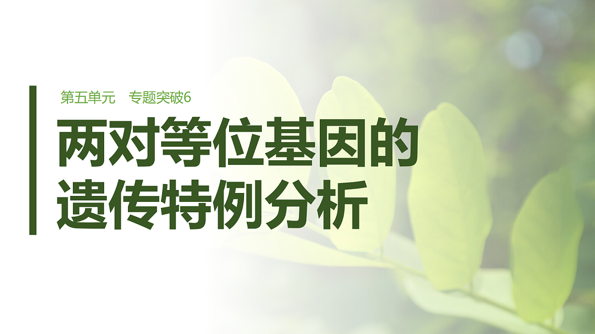 第五单元　专题突破6　两对等位基因的遗传特例分析第1页