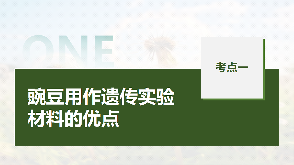 第五单元　第20课时　一对相对性状的杂交实验第5页