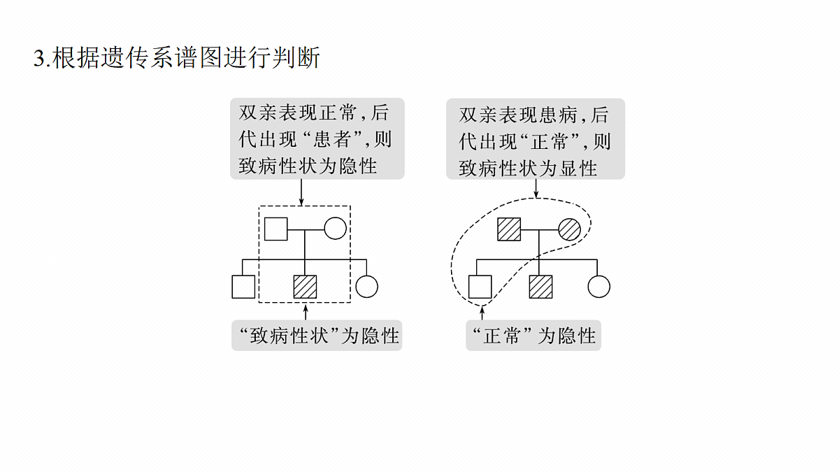 第五单元　第21课时　分离定律的概率计算和常规应用第6页