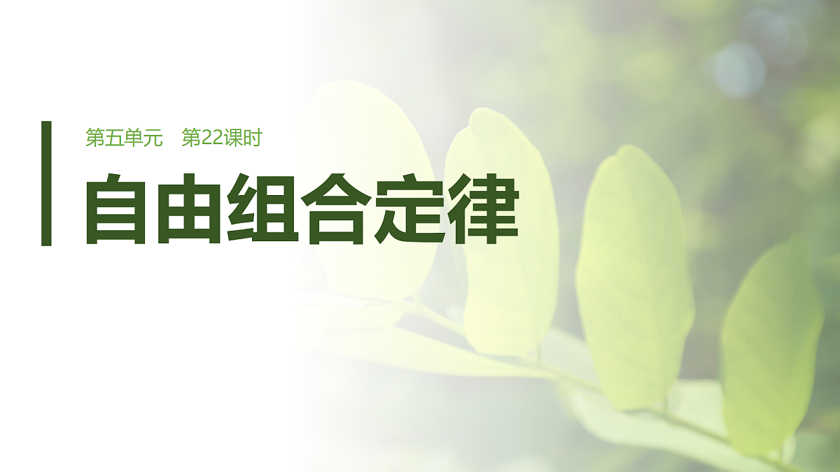第五单元　第22课时　自由组合定律第1页
