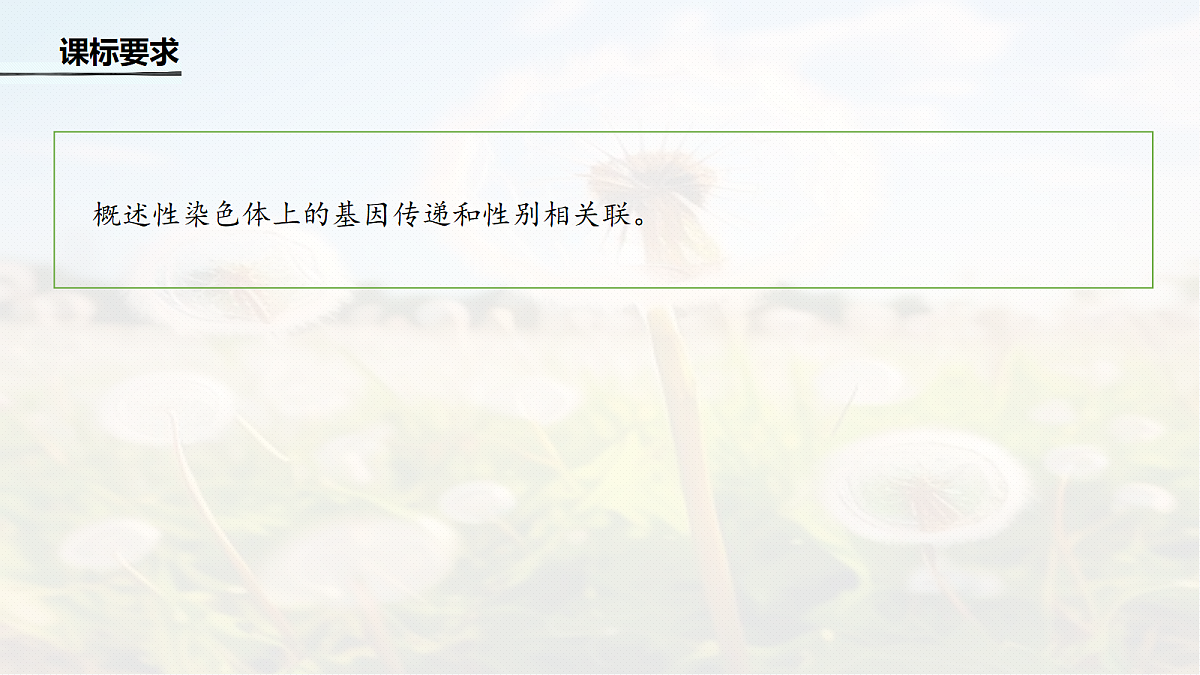 第五单元　第23课时　基因在染色体上和伴性遗传第2页