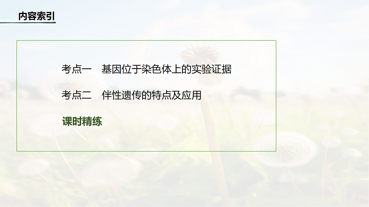 第五单元　第23课时　基因在染色体上和伴性遗传第4页