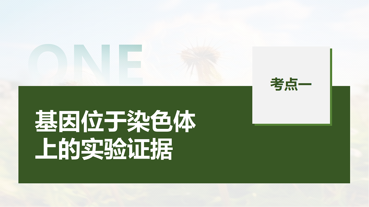 第五单元　第23课时　基因在染色体上和伴性遗传第5页