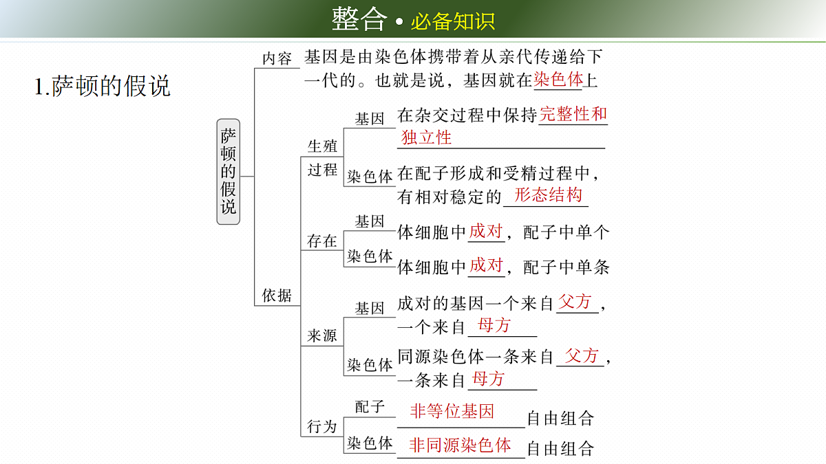 第五单元　第23课时　基因在染色体上和伴性遗传第6页