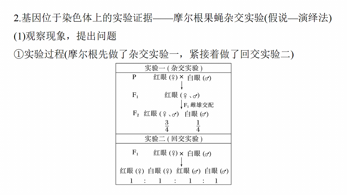 第五单元　第23课时　基因在染色体上和伴性遗传第7页