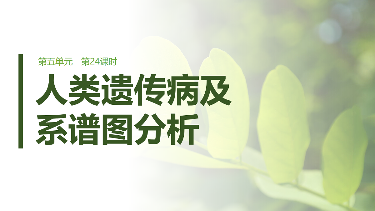 第五单元　第24课时　人类遗传病及系谱图分析第1页