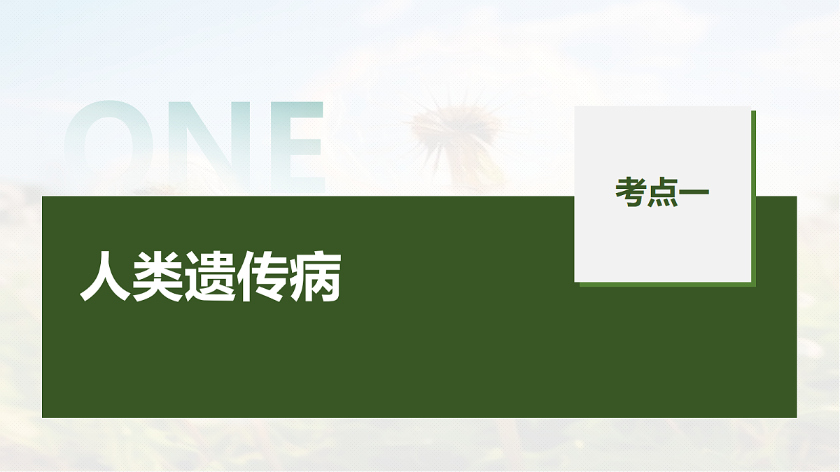 第五单元　第24课时　人类遗传病及系谱图分析第5页