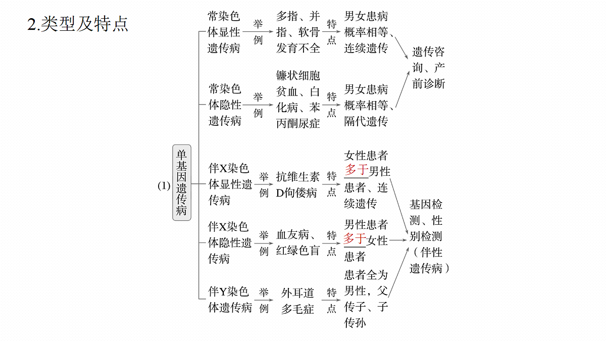 第五单元　第24课时　人类遗传病及系谱图分析第7页