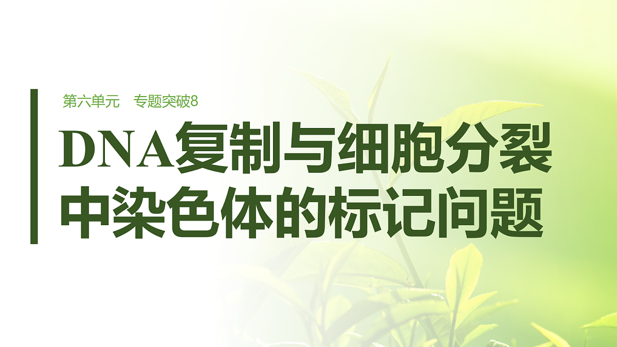 第六单元　专题突破8　DNA复制与细胞分裂中染色体的标记问题第1页