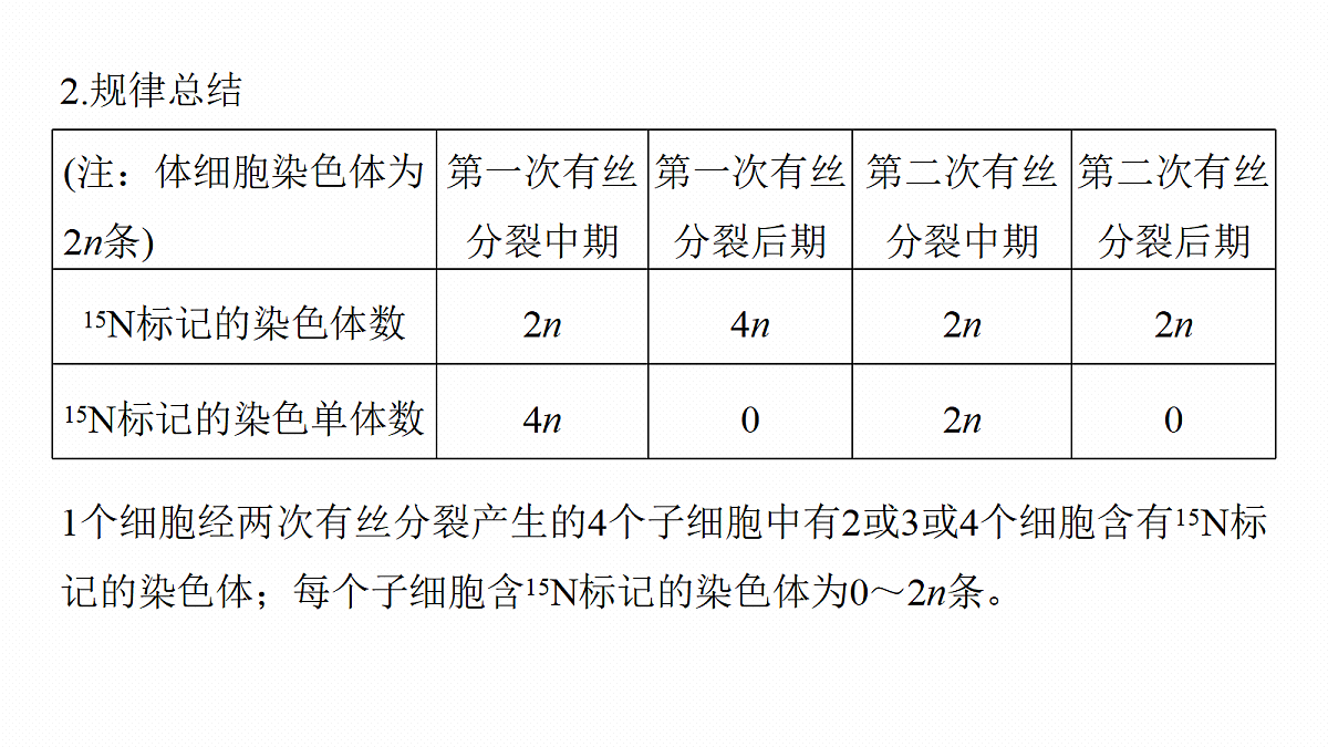 第六单元　专题突破8　DNA复制与细胞分裂中染色体的标记问题第3页