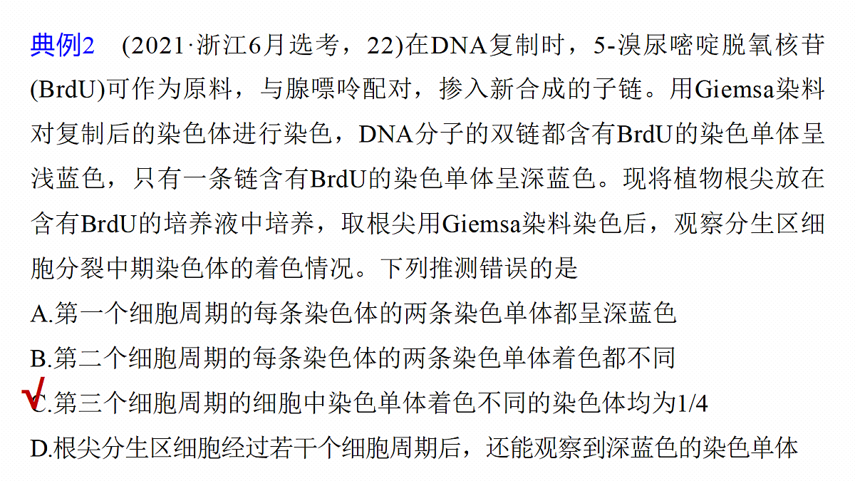 第六单元　专题突破8　DNA复制与细胞分裂中染色体的标记问题第7页