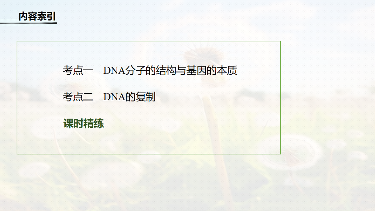 第六单元　第26课时　DNA的结构、复制和基因的本质第4页