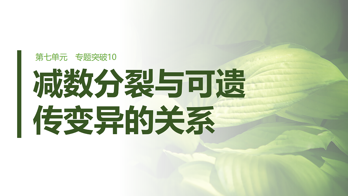 第七单元　专题突破10　减数分裂与可遗传变异的关系第1页