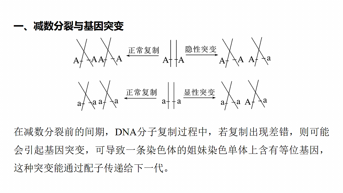 第七单元　专题突破10　减数分裂与可遗传变异的关系第4页