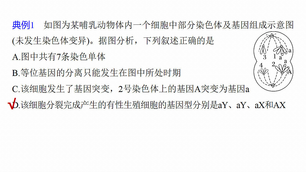 第七单元　专题突破10　减数分裂与可遗传变异的关系第5页
