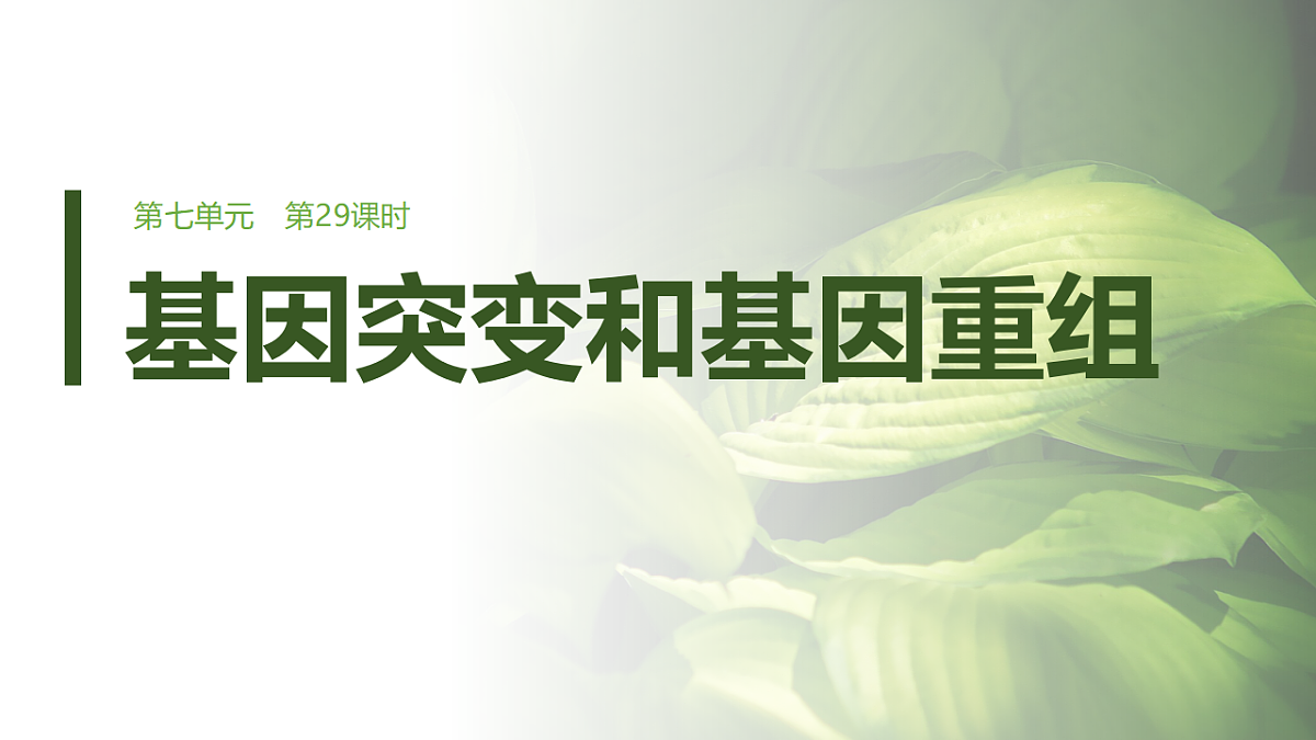 第七单元　第29课时　基因突变和基因重组第1页