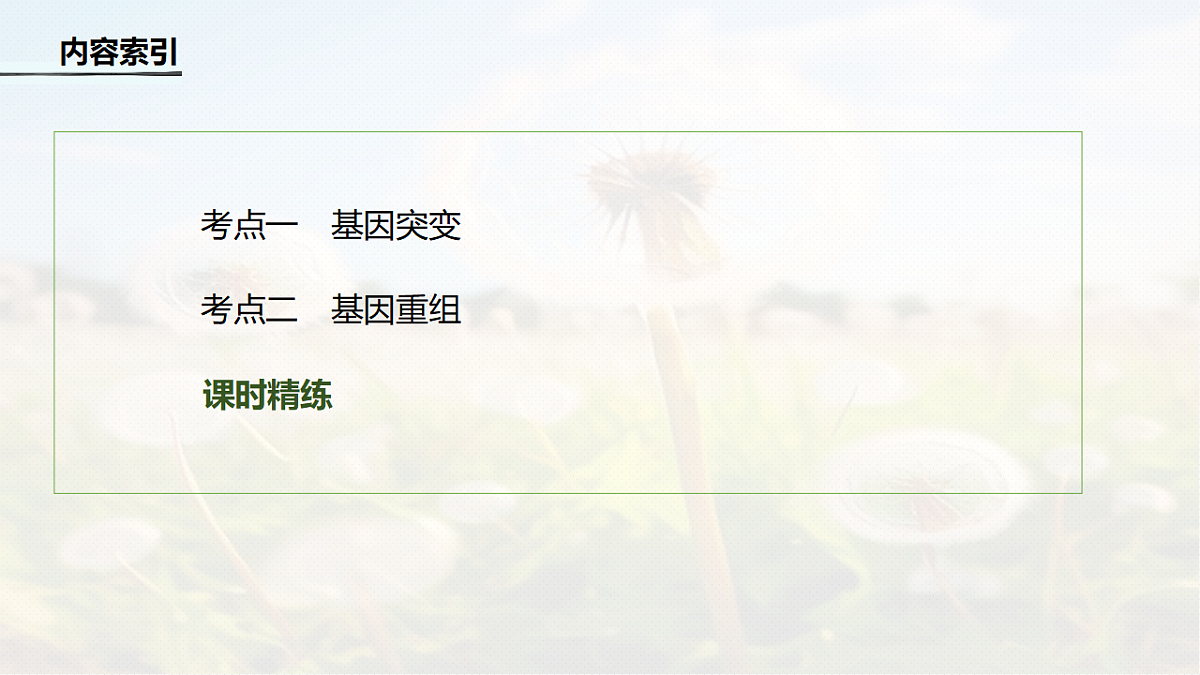 第七单元　第29课时　基因突变和基因重组第4页