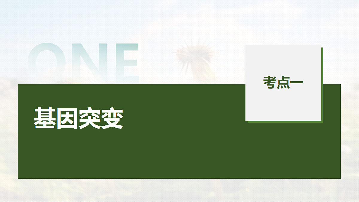 第七单元　第29课时　基因突变和基因重组第5页