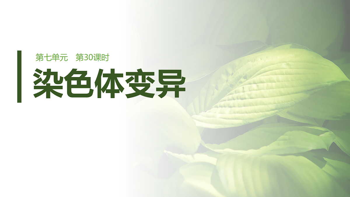 第七单元　第30课时　染色体变异第1页