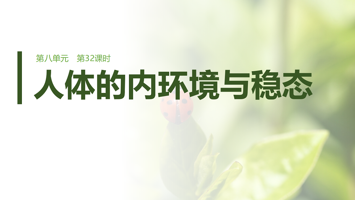 第八单元　第32课时　人体的内环境与稳态第1页