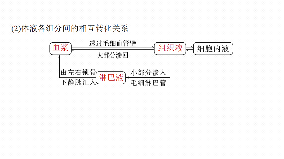 第八单元　第32课时　人体的内环境与稳态第7页