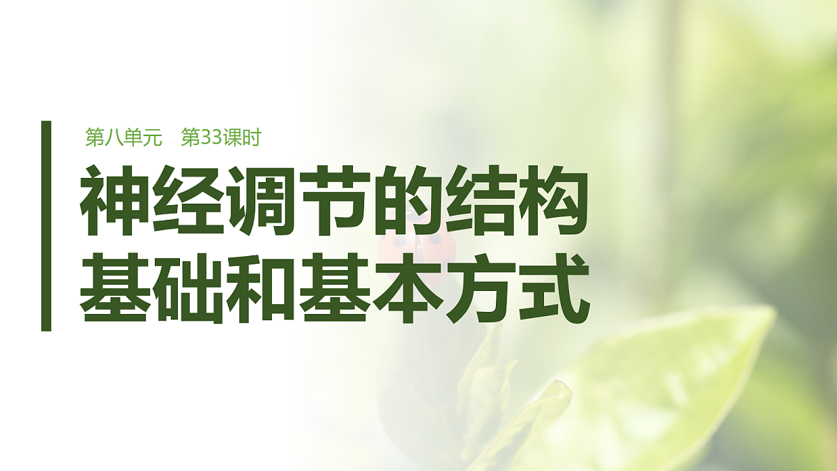 第八单元　第33课时　神经调节的结构基础和基本方式第1页