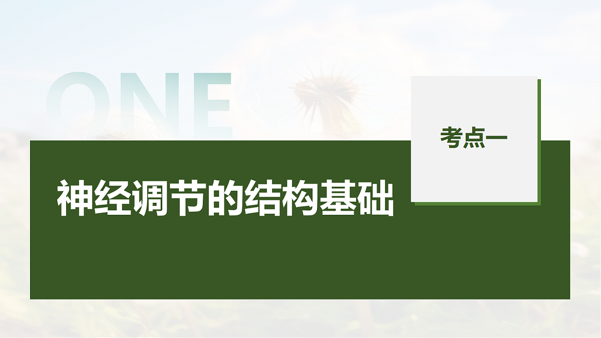 第八单元　第33课时　神经调节的结构基础和基本方式第5页