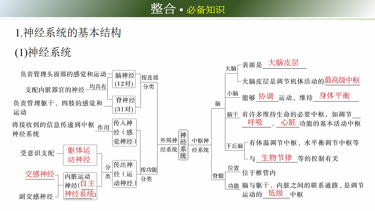 第八单元　第33课时　神经调节的结构基础和基本方式第6页
