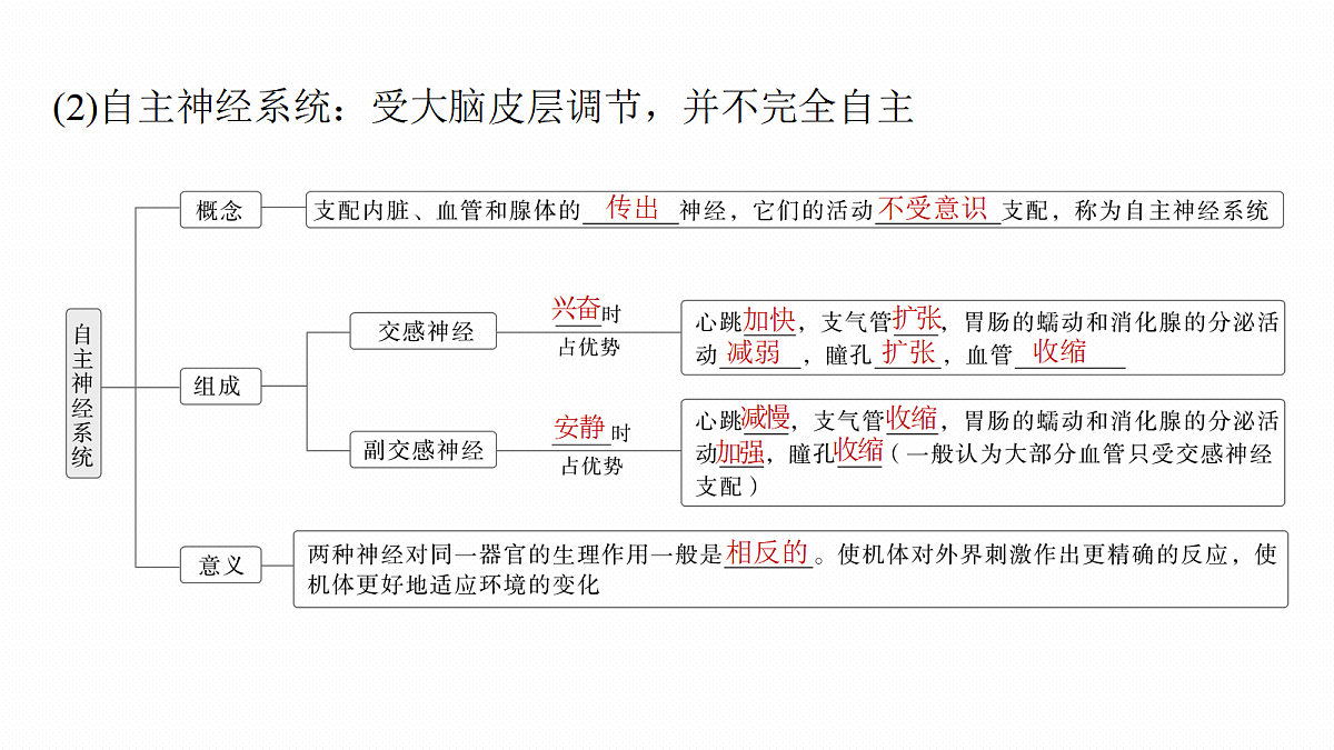 第八单元　第33课时　神经调节的结构基础和基本方式第7页